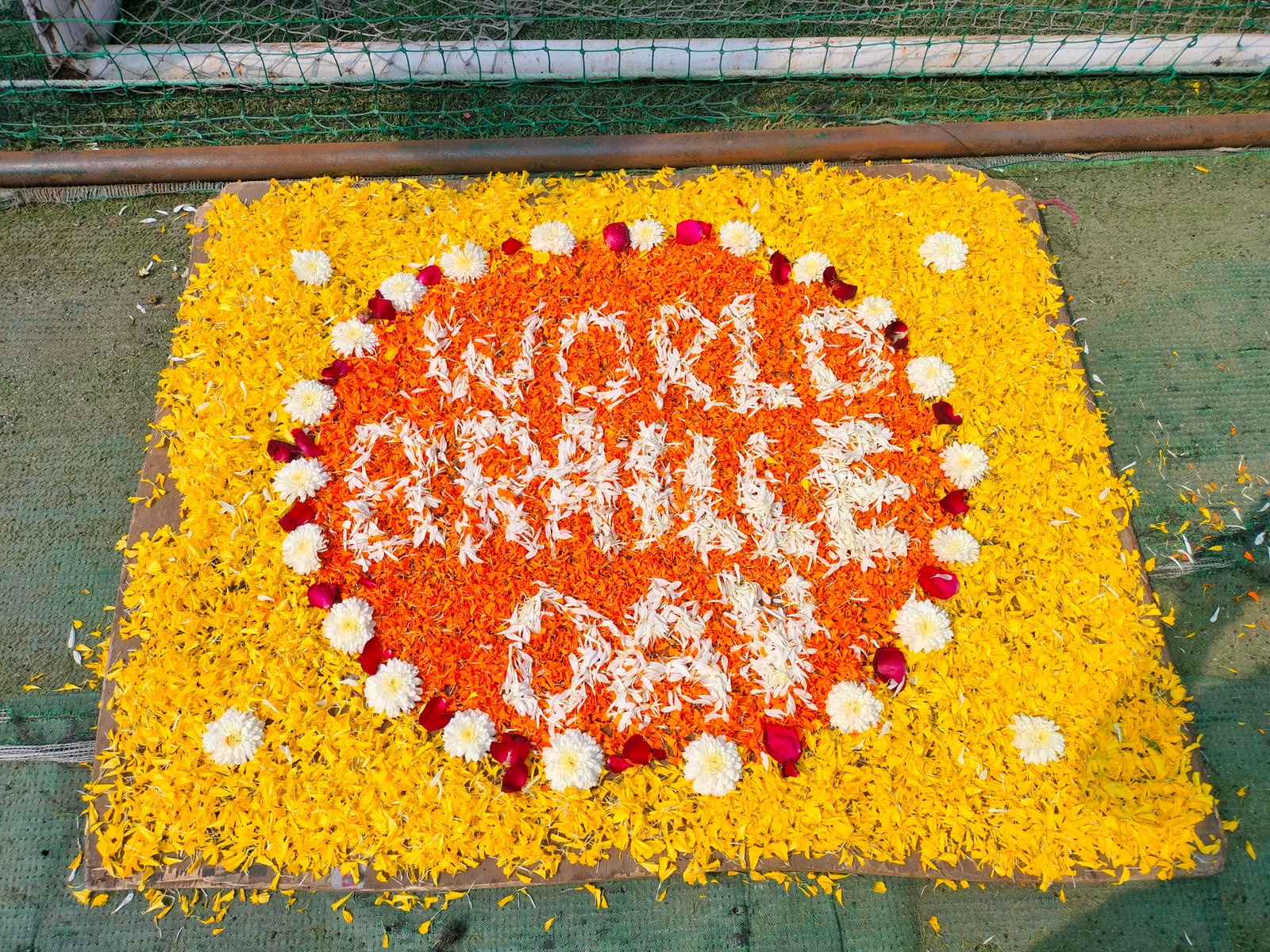 World Braille Day participants